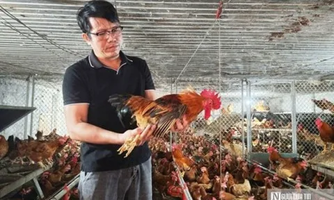 Lương vài chục triệu, bác sĩ thú y vẫn bỏ việc về mở trang trại thu gần 9 tỷ mỗi năm