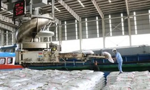 Hai 'ông lớn' Việt Nam đang nắm giữ át chủ bài giữa cảnh Hormuz gây đứt gãy chuỗi cung ứng phân bón toàn cầu