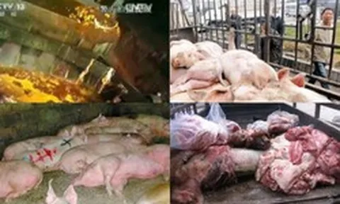 "Đại án" 1.000 tấn thịt lợn bẩn tại Trung Quốc: "Xác thối" hoá kiếp thành dầu ăn, xúc xích, quy trình khiến nhiều người rùng mình