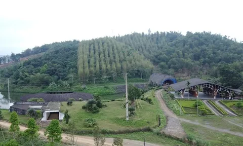 Số phận "bảy nổi, ba chìm" của Công viên sinh thái tre luồng hơn 300 tỷ