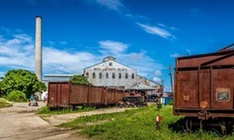 Từ 'Số 1 thế giới' đến phụ thuộc hàng nhập khẩu: Cuba tìm cách hồi sinh ngành công nghiệp xương sống