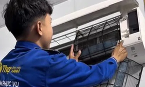 Những ông chồng 'vụng về' giúp Thợ Điện Máy Xanh ghi nhận doanh thu tăng vọt