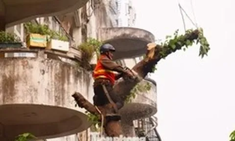 Hà Nội phá dỡ chung cư 51 Huỳnh Thúc Kháng sau 35 năm