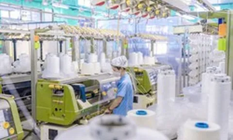 Tập đoàn dệt may lớn nhất Việt Nam báo lãi tăng 31% trong quý đầu năm 2026