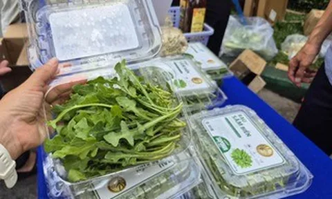 Bất ngờ về loại rau 350.000 đồng/kg vẫn được người ở TPHCM xem là “rẻ”