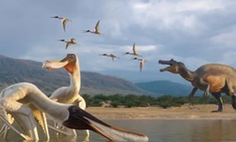 Quái vật thế giới chưa từng biết "trỗi dậy" từ khối đá trong bảo tàng