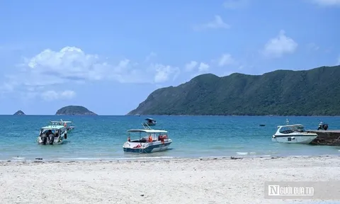 Côn Đảo "giữ nhiệt" du lịch: Giá tăng cao, khách vẫn đổ về