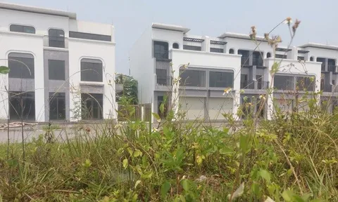 Nhanh chóng “hồi sinh” dự án khu đô thị hàng trăm tỷ đang bị bỏ dở, xuống cấp trầm trọng