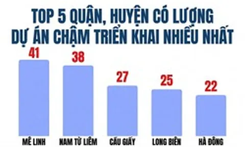 Bóc 341 dự án "đắp chiếu" tại Hà Nội: Mê Linh dẫn đầu số lượng dự án, hàng loạt doanh nghiệp đình đám Viglacera, Geleximco, Nam Cường, Sudico...bị điểm tên