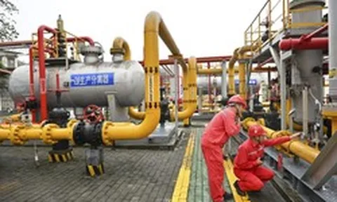 Bán hàng chục tỷ m³ khí đốt cho nước láng giềng với giá thấp hơn 1/3 so với khách châu Âu trả, Nga nói đó là chuyện “khách quan” dù thu lời ít hơn