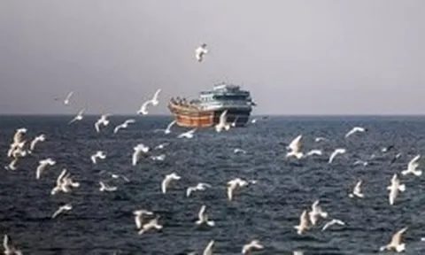 Có gì trên tàu hàng Iran bị Mỹ thu giữ trên Vịnh Oman?