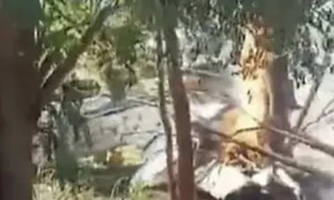 Rơi máy bay chở đầy tiền mặt giữa biên giới 3 nước, nổ ra hàng loạt vụ cướp