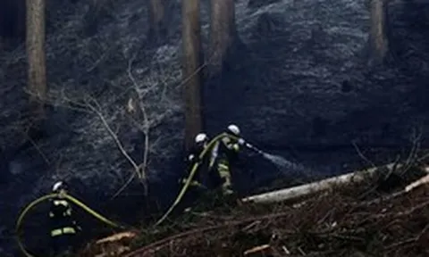 Cháy rừng tại Nhật Bản khiến 3.000 người sơ tán, lính cứu hỏa căng mình dập lửa