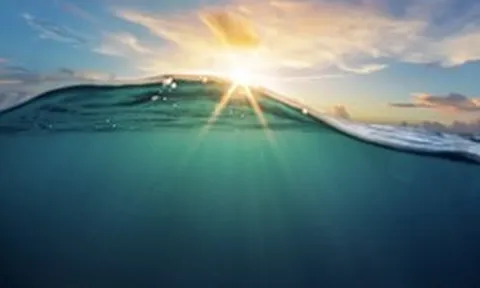 Trung Quốc lại khiến thế giới choáng ngợp: Tuyên bố đã tạo ra vật liệu dạng xốp, nhỏ hơn sợi tóc, biết đi săn ‘kho báu’ dưới nước