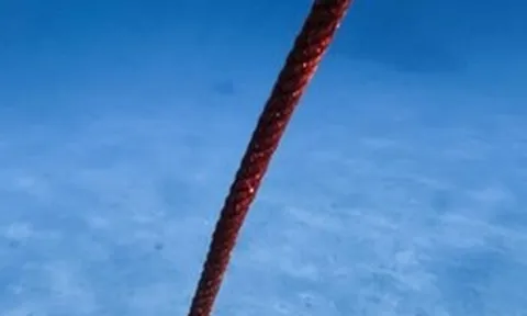 Thả một sợi cáp dài 10 km xuống đáy biển, các nhà khoa học phát hiện 56.000 tín hiệu lạ chỉ trong 21 ngày