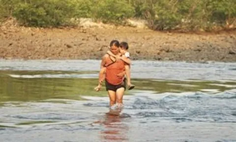 Không có cầu, cha mẹ "nín thở" cõng con vượt sông đến trường