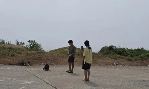 Bị khỉ hoang tấn công, 5 du khách nhập viện