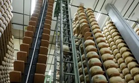 500.000 bánh phô mai trong kho, trị giá 325 triệu euro: Bí mật 'ngân hàng' kỳ lạ nhất thế giới, cỗ máy tài chính 4 tỷ USD quý hơn vàng của nước Ý