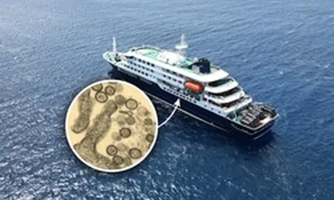 Du thuyền chở 147 người mắc kẹt trên biển vì bùng phát virus hiếm gặp, 3 người đã tử vong: WHO điều tra khẩn
