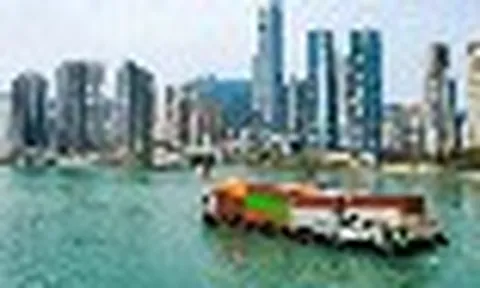 Việt Nam vừa đón tin vui từ Brazil