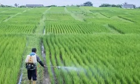 Phát minh của Trung Quốc xoay chuyển ngành phân bón: Ép chất thải độc hại thành nguyên liệu cho nông nghiệp, hiệu suất cao gấp 3 lần bình thường