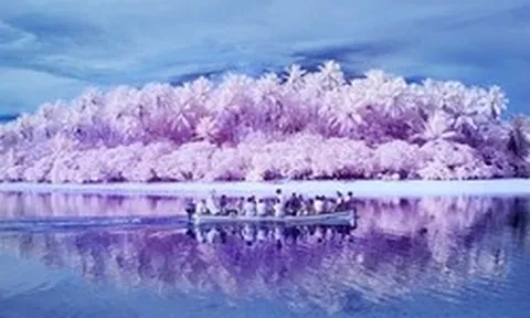 Hòn đảo nơi người dân hầu hết đều bị mù màu: Mọi chuyện bắt đầu vào năm 1775