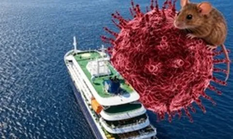 Toàn cảnh hành trình trên du thuyền mang virus Hanta khiến cả thế giới lo ngại: Hơn 1 tháng “nín thở” và tình hình hiện tại