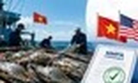 Tin vui với ghẹ Việt Nam xuất Mỹ