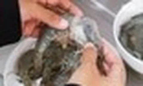 Virus “lạ” từ tôm nghi có thể gây mù ở người: Trung Quốc đã ghi nhận ca mắc