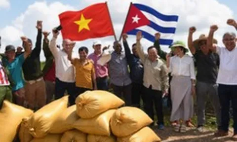 Cuba mở cánh cửa chưa từng có sau Cách mạng, Việt Nam lập tức xuất hiện: Dự án thứ hai bắt đầu 'hái quả'