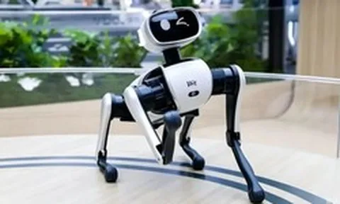 Doanh thu đạt gần 14 triệu USD chỉ sau 20 ngày: Tại sao sản phẩm chó robot tại Trung Quốc lại gây sốt?