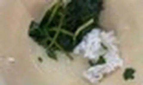 Xác minh thông tin 'vật thể lạ trong thức ăn' của sinh viên ở Huế