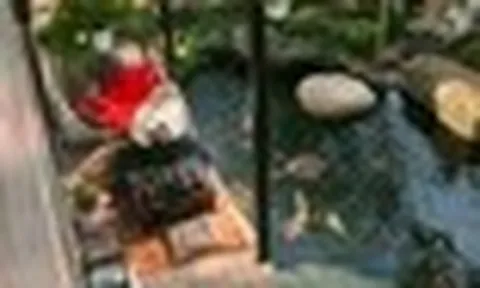 Nữ ca sĩ Việt tự sinh con, 41 vẫn chưa lấy chồng: Sống trong biệt thự 20 tỷ view nhìn thẳng sông