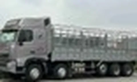 Phát hiện xe tải màu xám lạ, công an Việt Nam lập tức theo dõi giám sát và kiểm tra