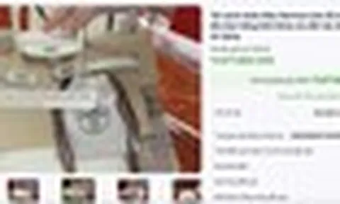 Đấu giá thành công 2 túi Hermès bạch tạng của Trương Mỹ Lan, thu hơn 14 tỷ đồng