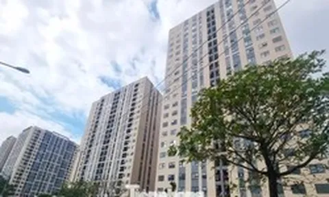 Đà Nẵng phê duyệt 113 vị trí xây nhà ở xã hội, khu nào lớn nhất?