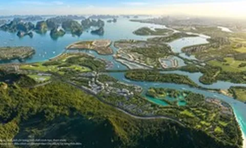 Trước khi tung chương trình hỗ trợ chuyển đổi vàng mua nhà, tỷ phú Phạm Nhật Vượng từng nói: Nếu người dân có tiền là đi mua vàng thì xã hội không có nguồn vốn để phát triển
