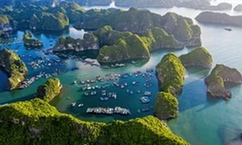 “Lá chắn lãi suất” có khiến nhà đầu tư xuống tiền tại Cát Bà?