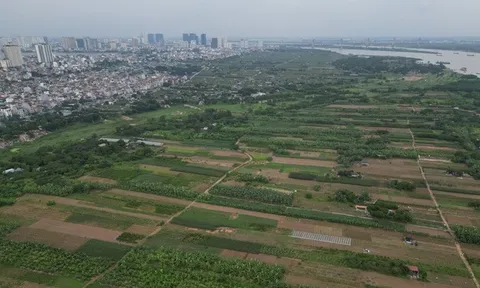 Bộ Nông nghiệp và Môi trường yêu cầu đăng tải công khai vi phạm đất đai