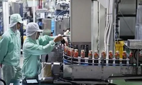 Cơn khát 1 loại nguyên liệu quan trọng bủa vây châu Á vì cú sốc nguồn cung: Ngòi nổ đứt gãy bị kích hoạt