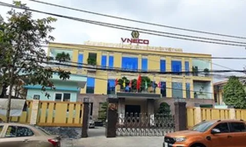 VNECO nói gì khi cổ phiếu VNE bất ngờ tăng trần liên tiếp sau thông tin hủy niêm yết?