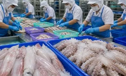 Việt Nam đón tin vui cùng lúc từ Hàn Quốc và Nhật Bản