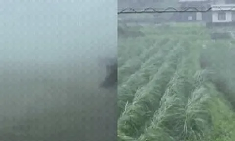 Bão Jangmi đã chính thức đổ bộ: 600 chuyến bay bị hủy bỏ, nhiều người bị thương, 390.000 dân được sơ tán khẩn cấp