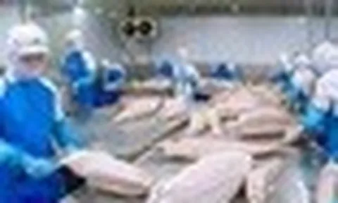 Việt Nam đón tin vui mới từ Nga