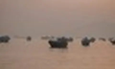Báo Mỹ: Hơn 100 tàu thương mại được hộ tống qua eo biển Hormuz