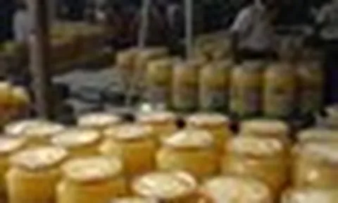 Đột kích lúc nửa đêm, công an triệt phá đường dây sản xuất bơ và dầu ăn giả, tịch thu hơn 14 tấn sản phẩm pha trộn