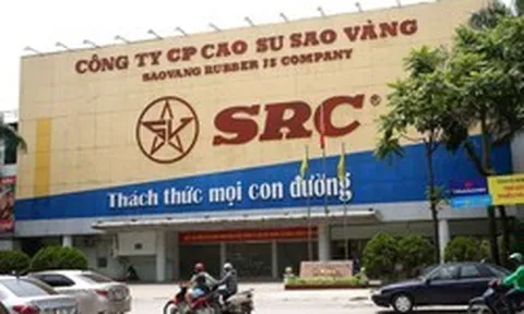 Lãi quý 1 tăng 250%, một doanh nghiệp sắp chốt quyền nhận "combo" cổ tức tiền mặt và cổ phiếu thưởng tỷ lệ 30%