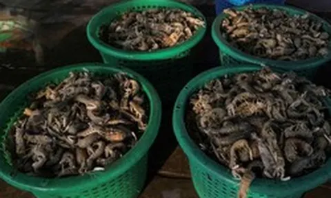 Thái Lan hứng ‘đòn giáng’ từ nước láng giềng