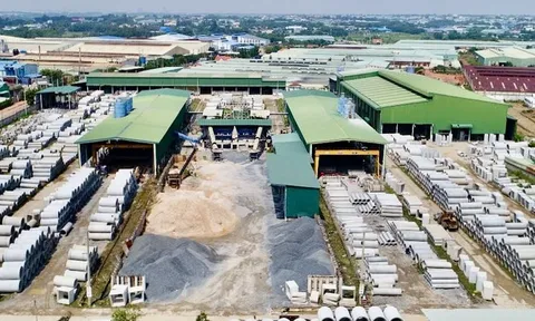 C32 đề nghị rà soát giao dịch cổ phiếu sau chuỗi tăng trần bất thường, nghi ngại bị thâu tóm