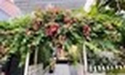 Nữ diễn viên cả đời đóng vai phản diện: U50 không muốn lấy chồng, một mình nuôi con trong biệt thự 4 tầng ở Sài thành